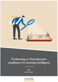 Evaluering av Datatilsynets sandkasse for kunstig intelligens