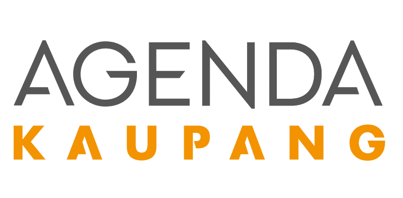 Hjem 8